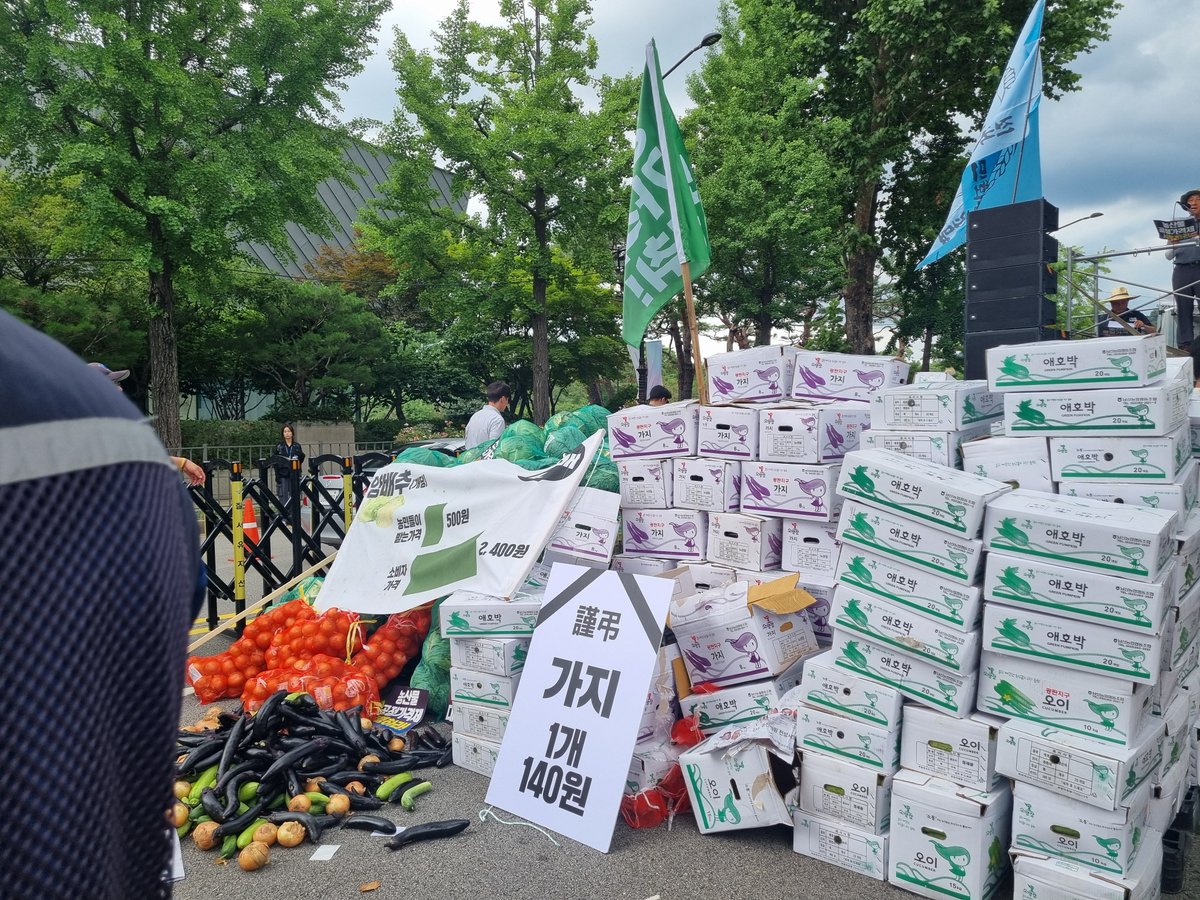 RT @mahosozounion1: 이게 말이 되는 가격인가 가지 1개 140원 오이 1개 180원 토마토 1개 180원 애호박 1개 250원 양배추 1개 500원 방울 토마토 1…